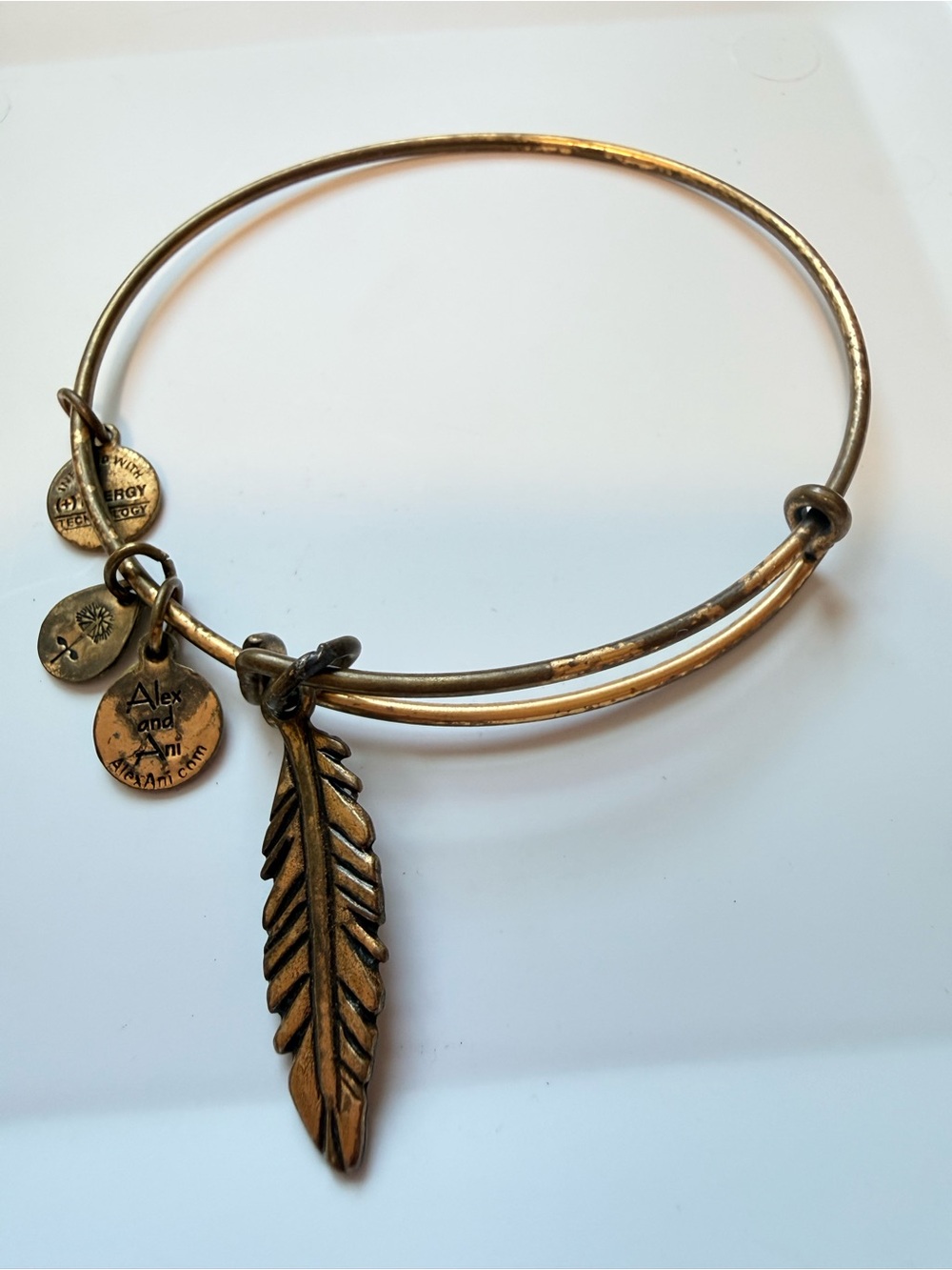Alex and Ani Bangle